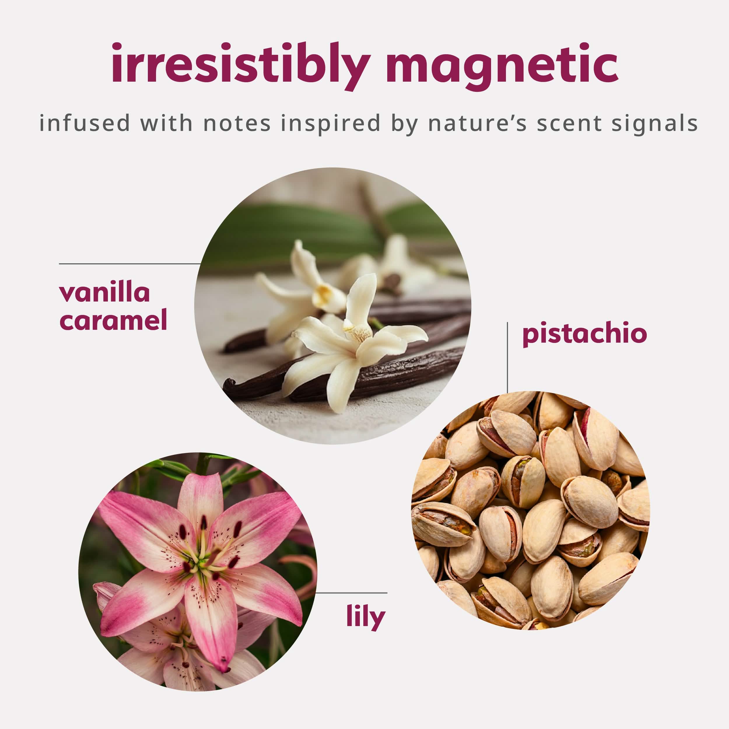 Pheromone Inspired Perfume Oil ?C Amber Gourmand - Image 3